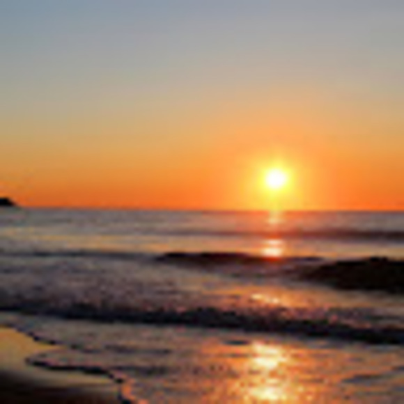 Meet your Posher, Mags - Picture 1 of 1